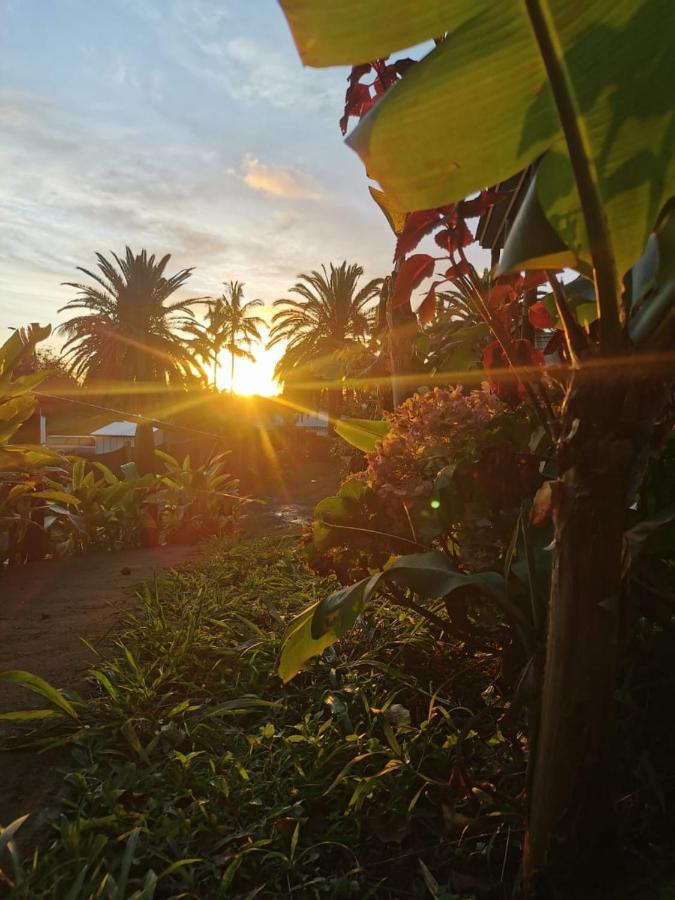 Hostal Tu'U Koihu Hanga Roa Exteriör bild
