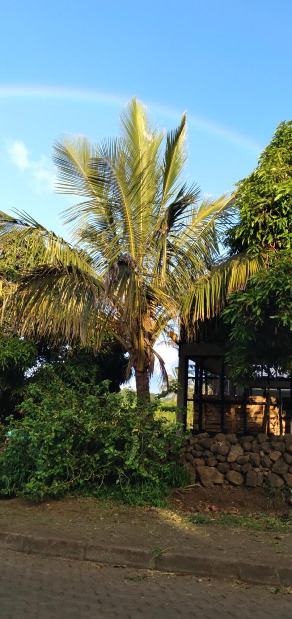 Hostal Tu'U Koihu Hanga Roa Exteriör bild