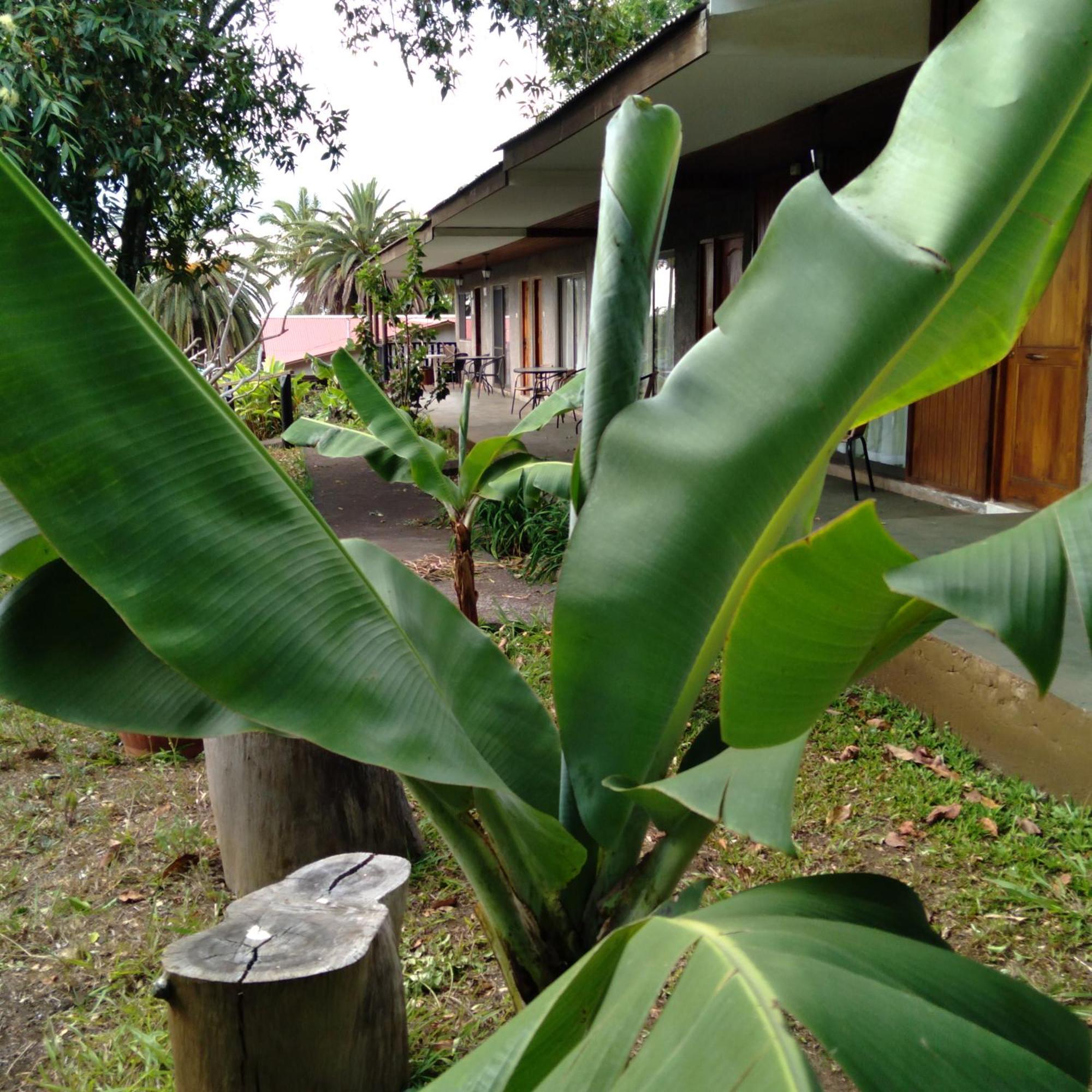 Hostal Tu'U Koihu Hanga Roa Exteriör bild