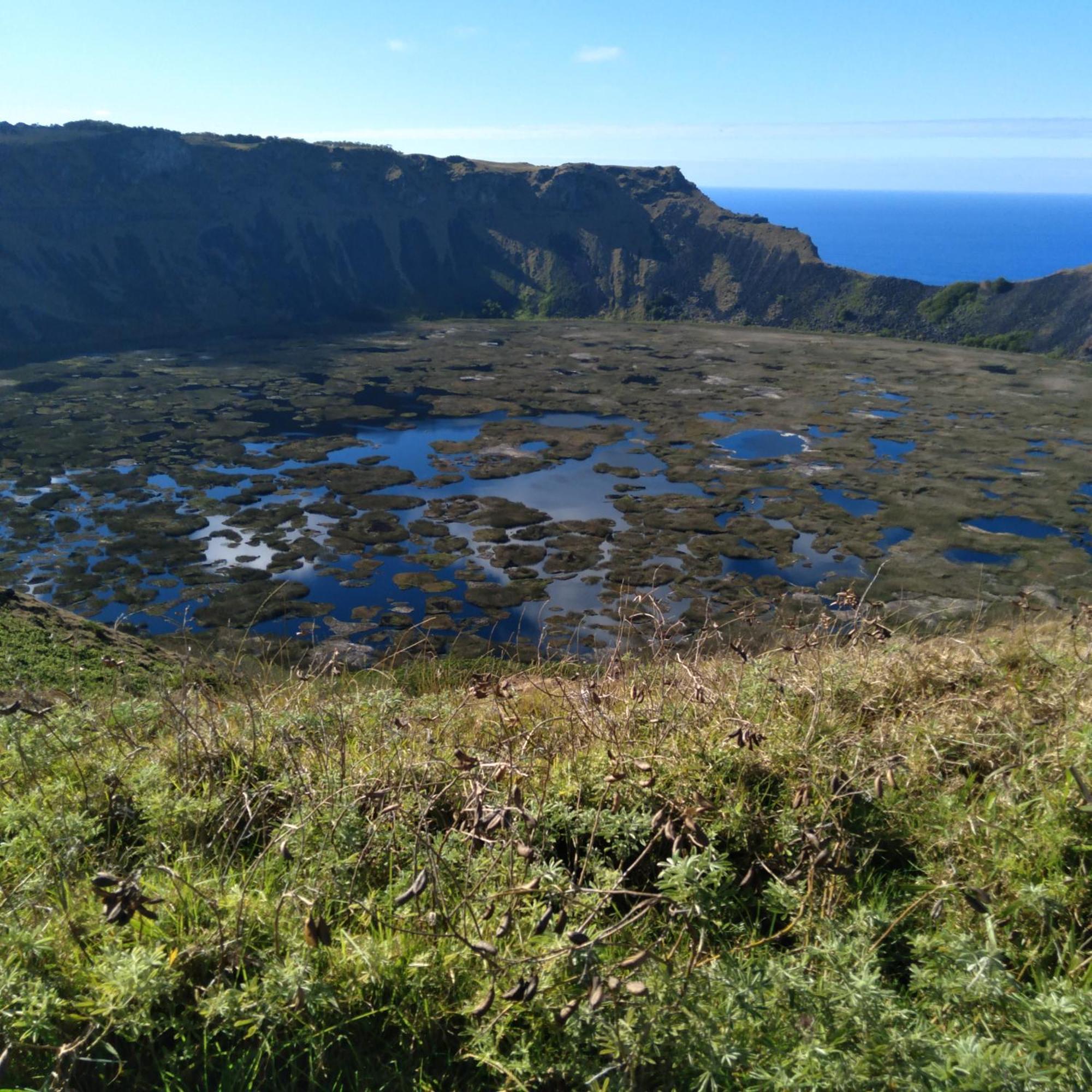 Hostal Tu'U Koihu Hanga Roa Exteriör bild