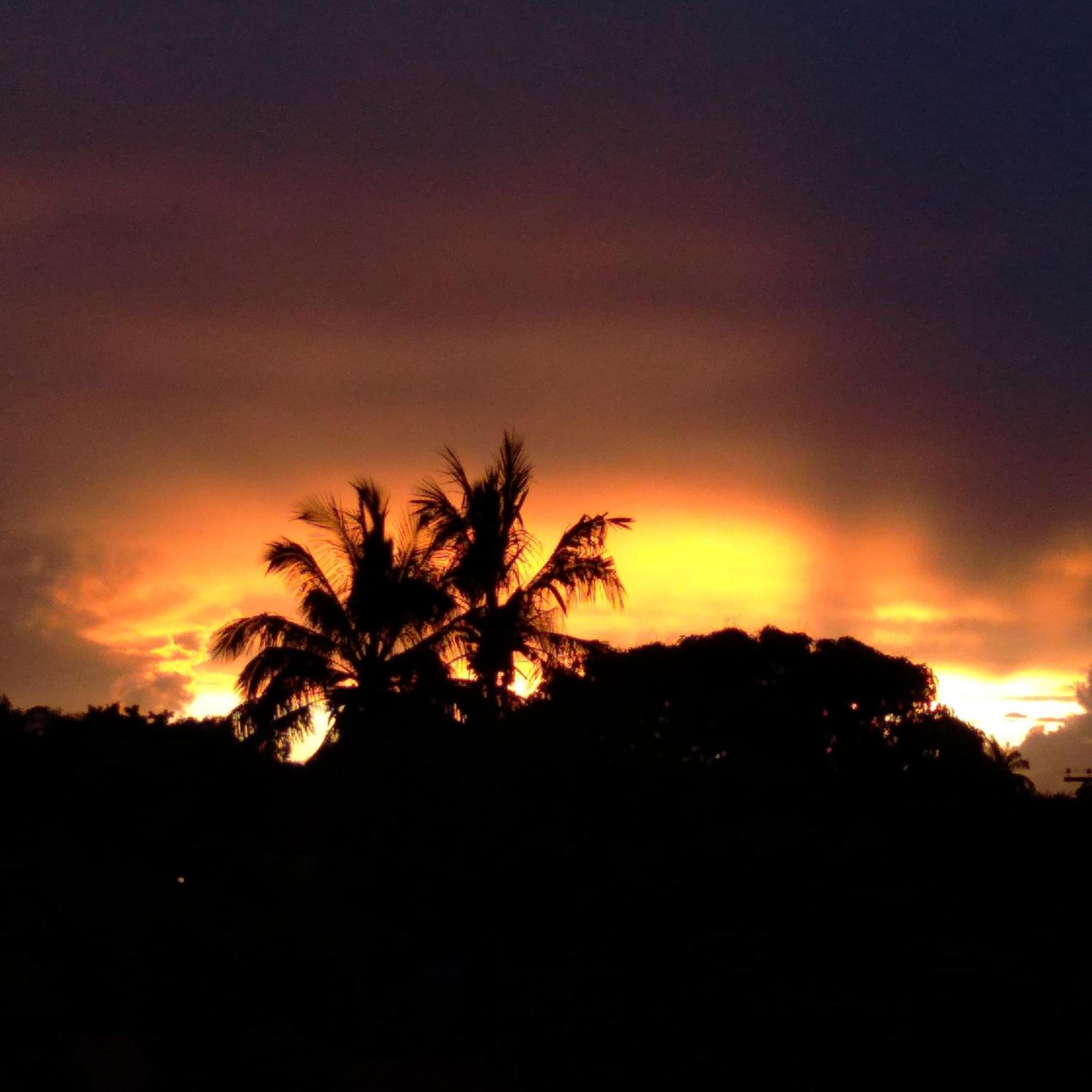 Hostal Tu'U Koihu Hanga Roa Exteriör bild